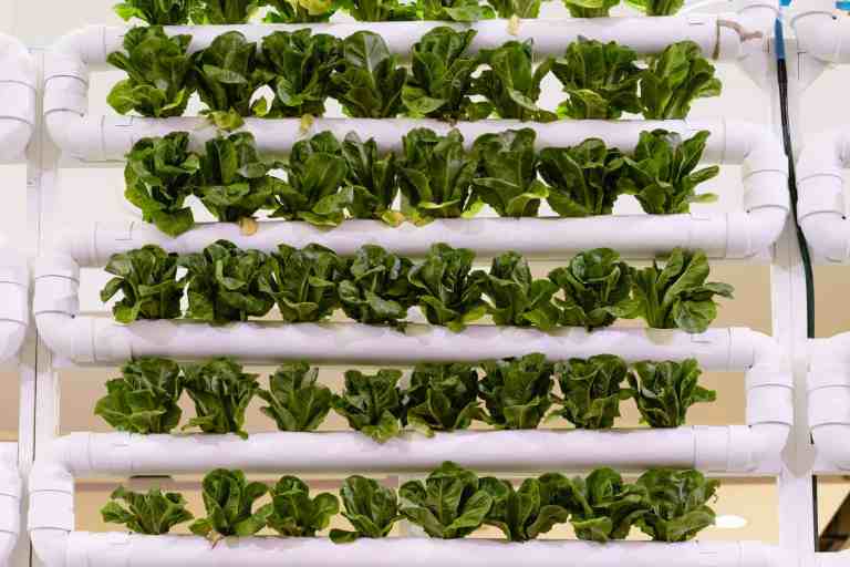 benefits of vertical farming
