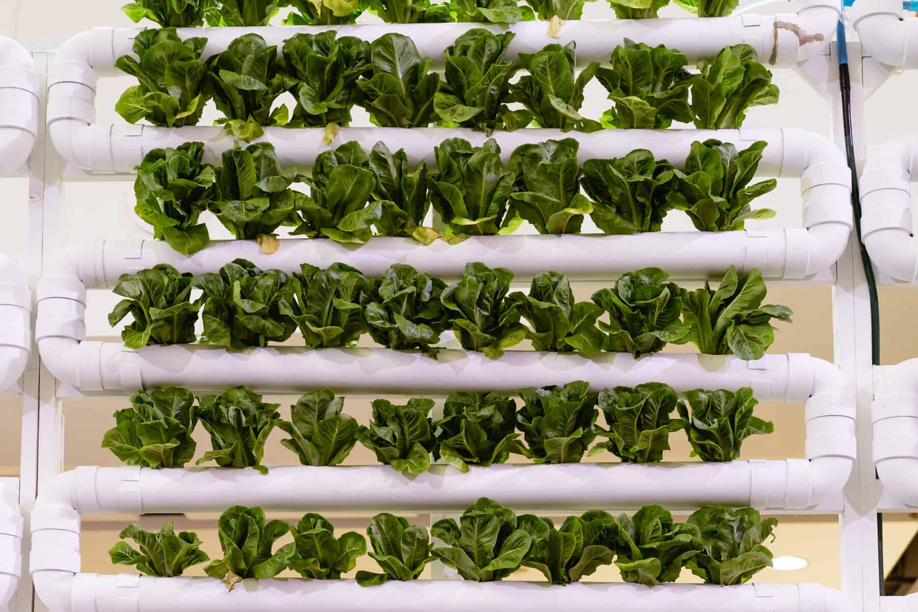 benefits of vertical farming