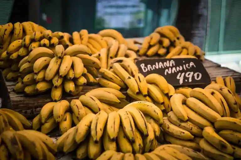 yellow bananas gmo vs organic debate