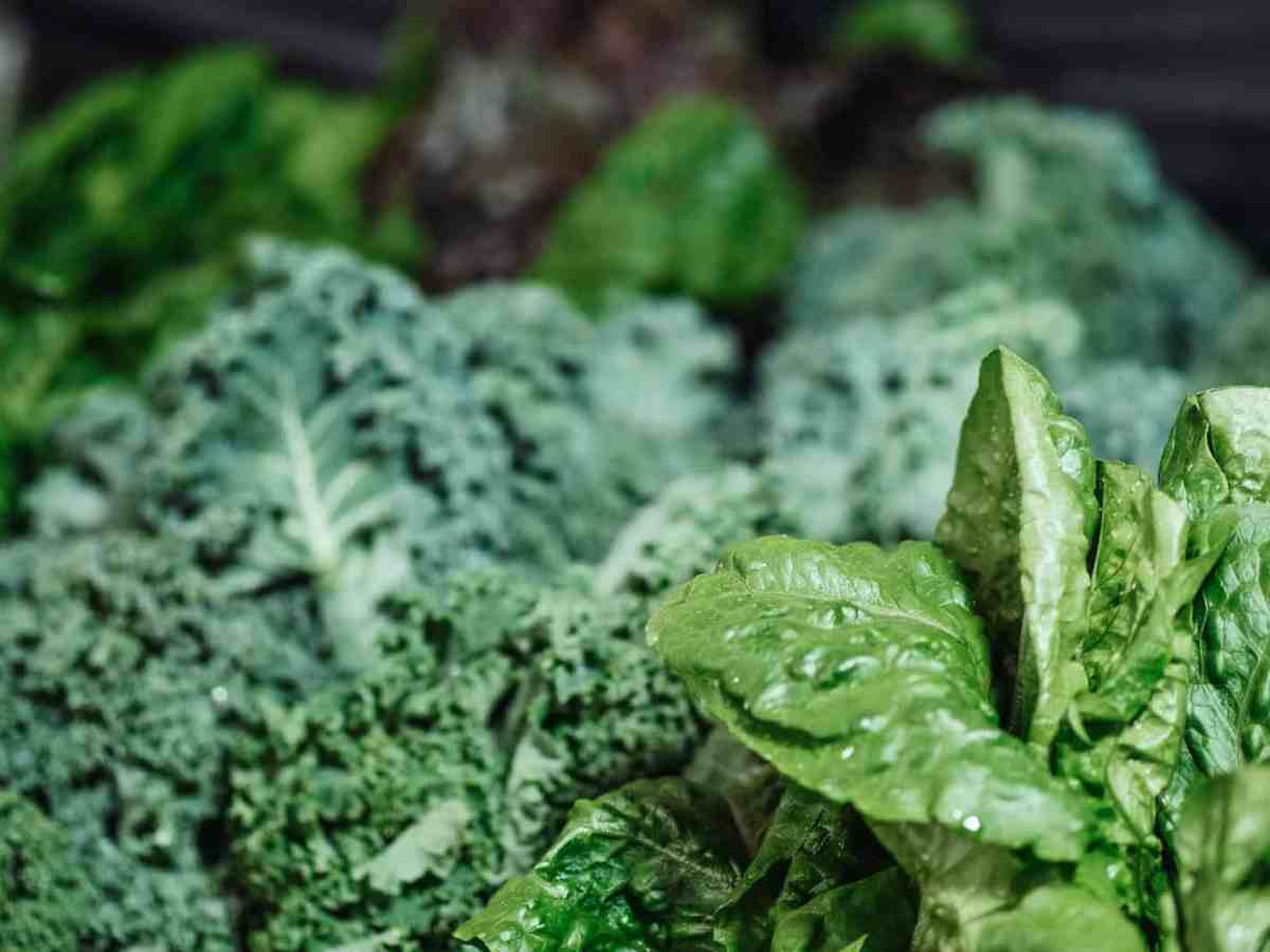 Sulforaphane Supplements from Sprouts: Benefits for Health