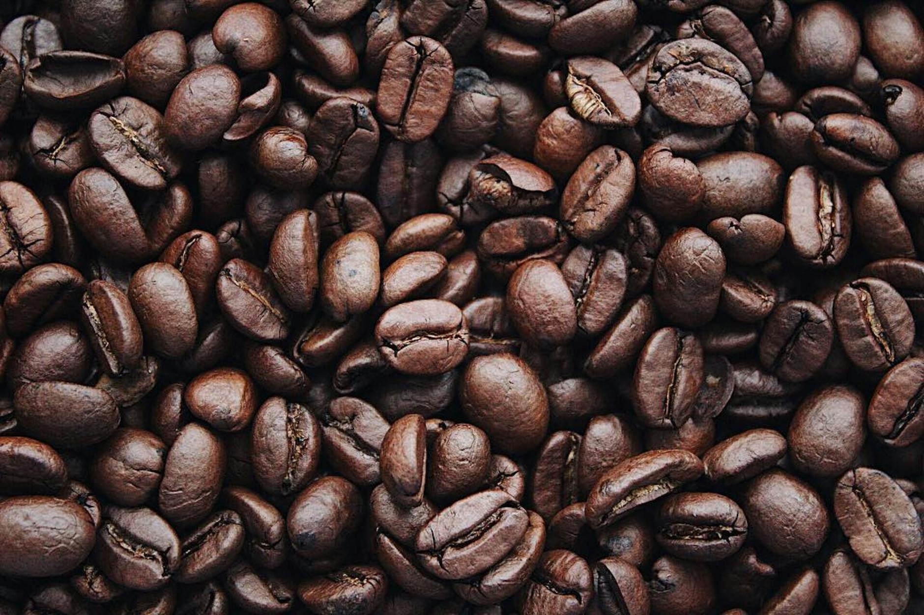 coffee beans for sustainable coffee brands