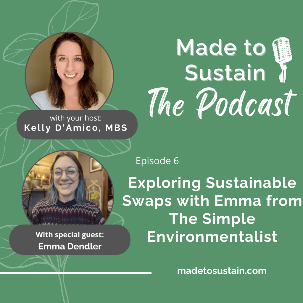 made to sustain podcast season 1 episode 6 sustainable swaps