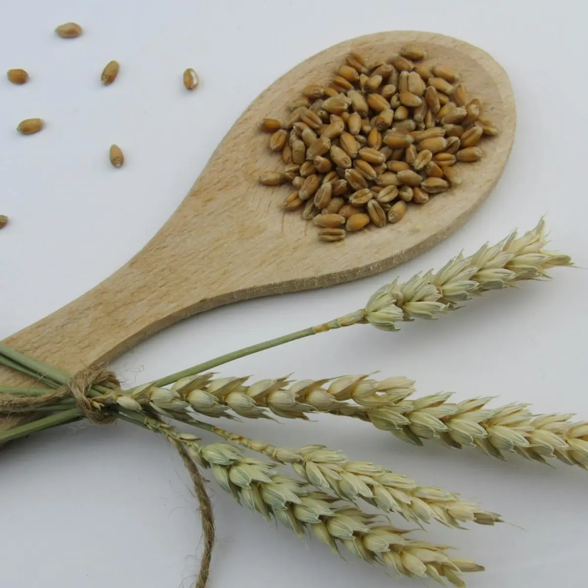 How to Buy Sustainable Grains For A Better Climate 