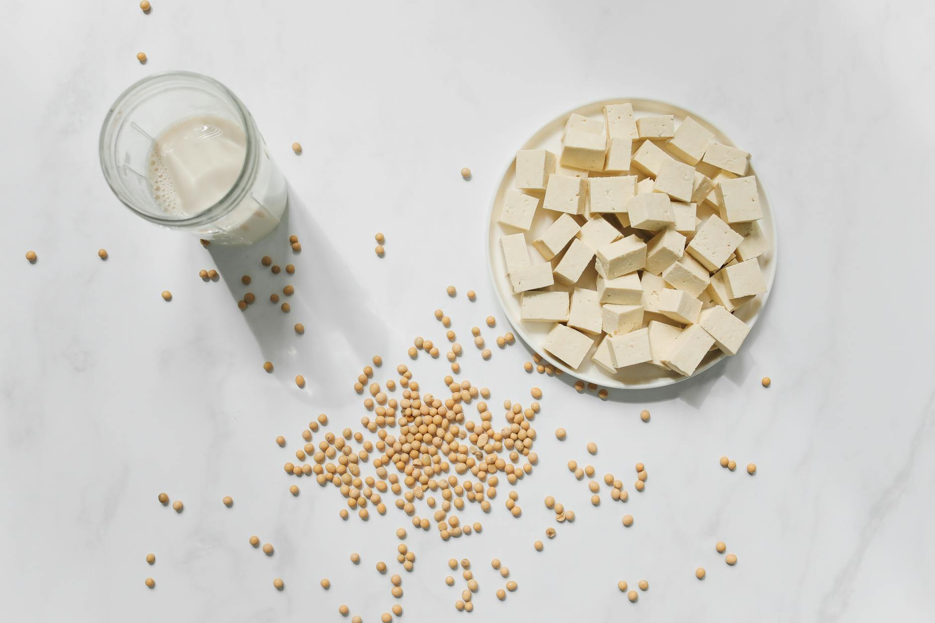 soy products are a sustainable protein source