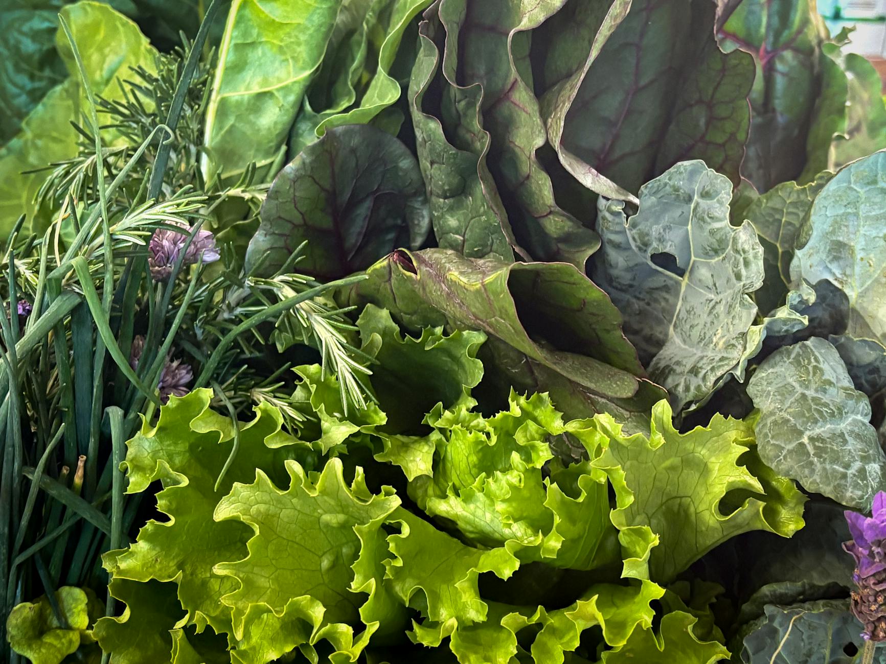 fresh assorted greens with herbs are seasonal spring foods