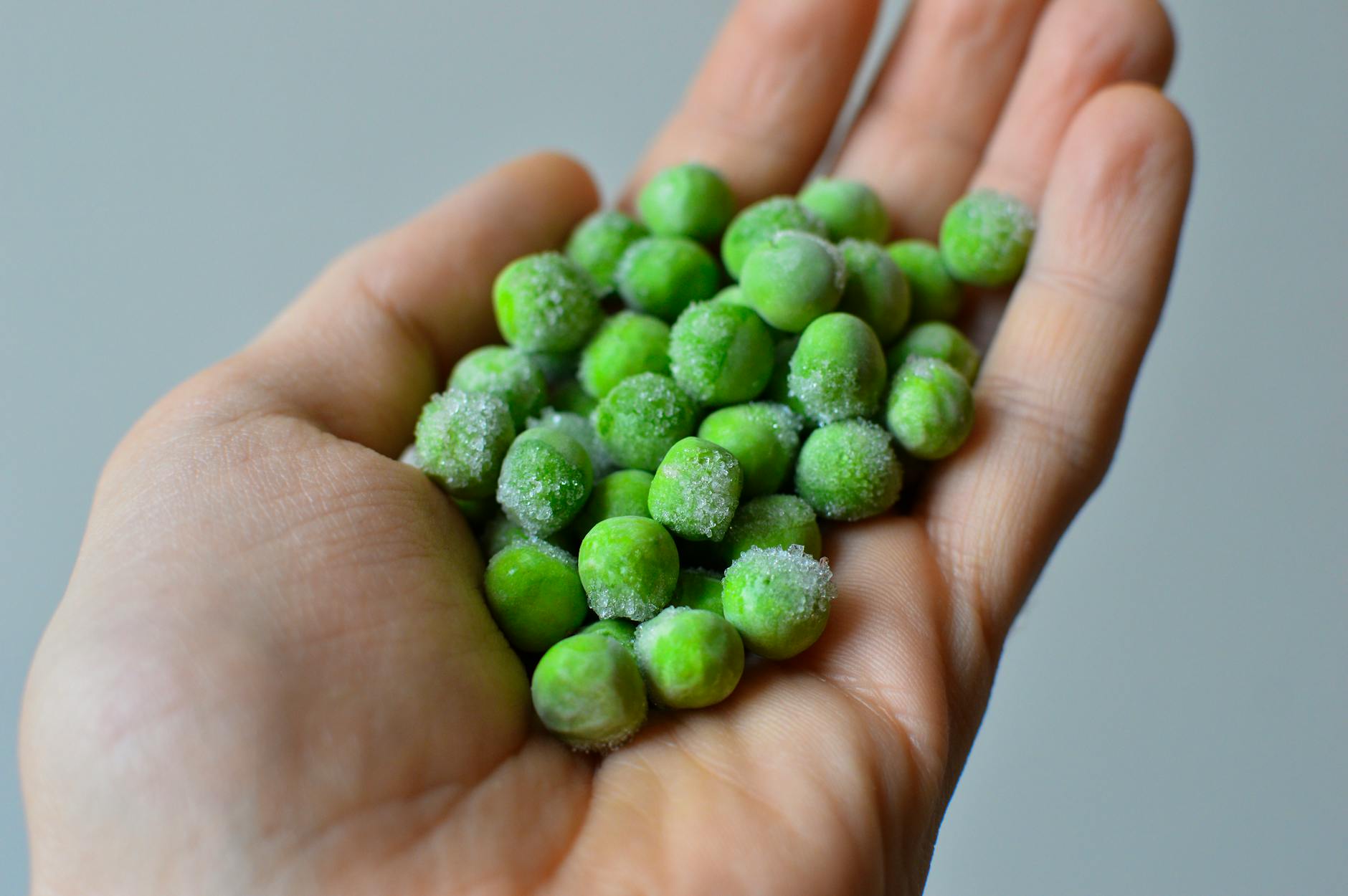 frozen green peas held in hand close up