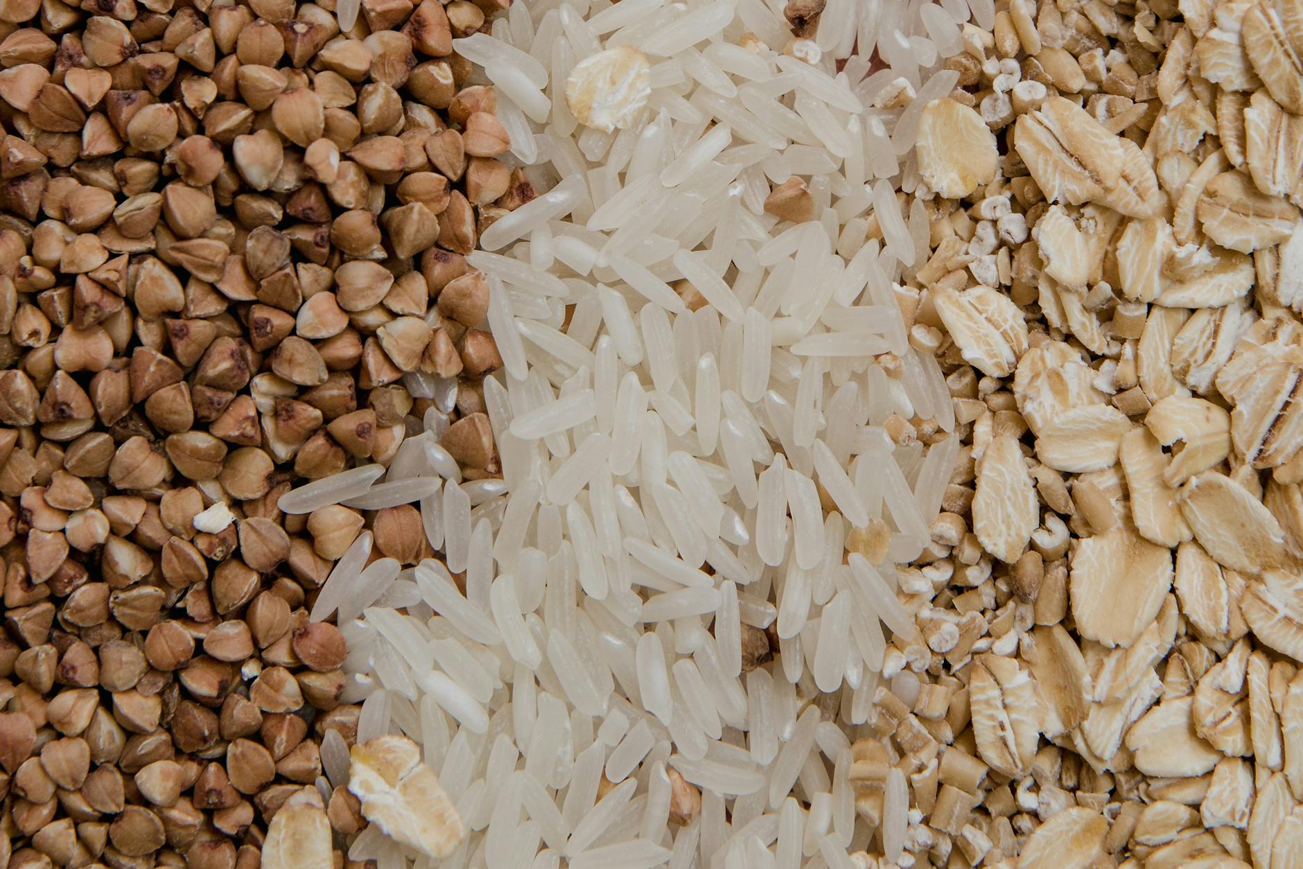 different types of grain