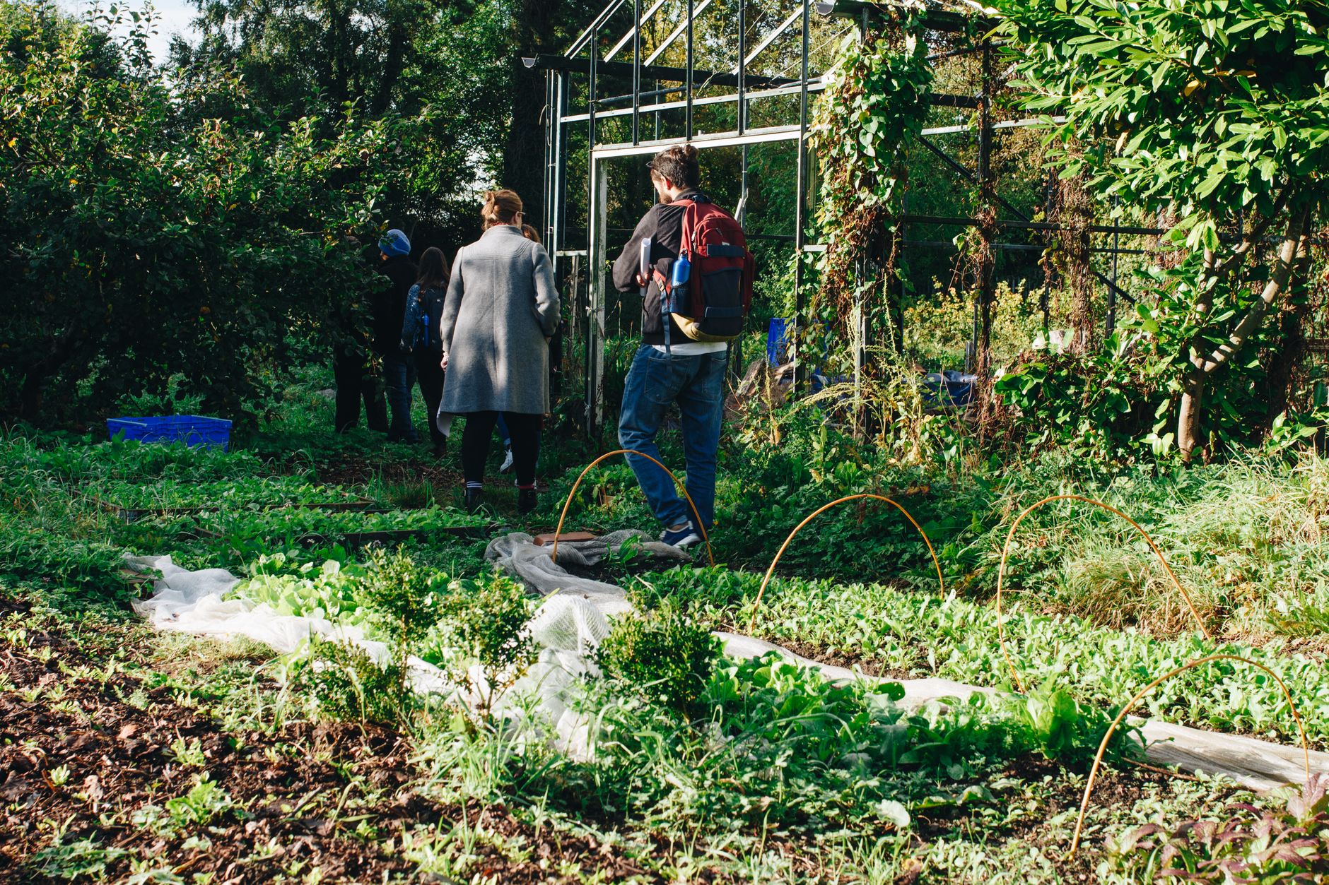 person standing near greenhouse - myths about organic foods