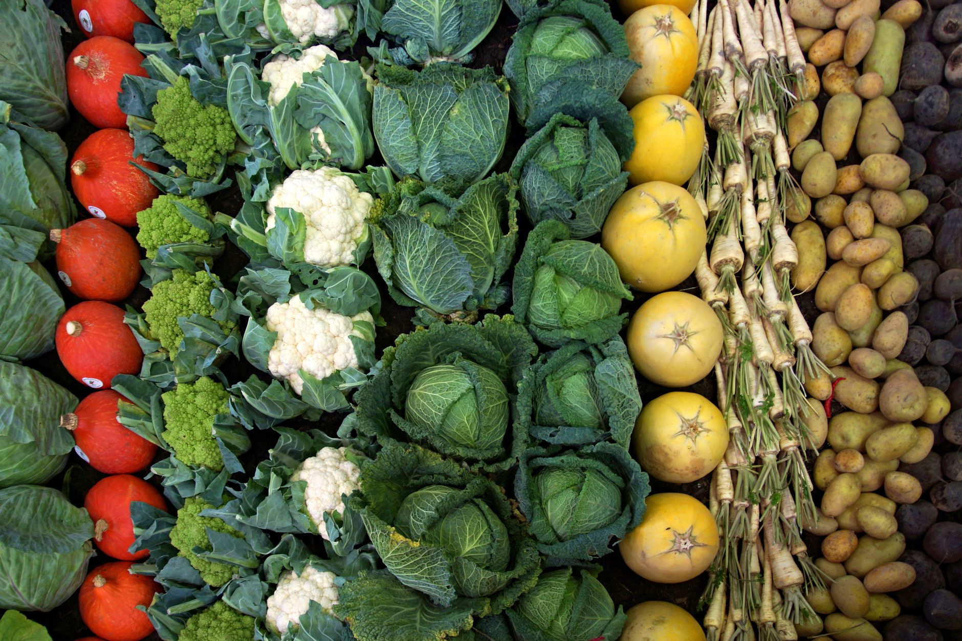 different fresh vegetables arranged together