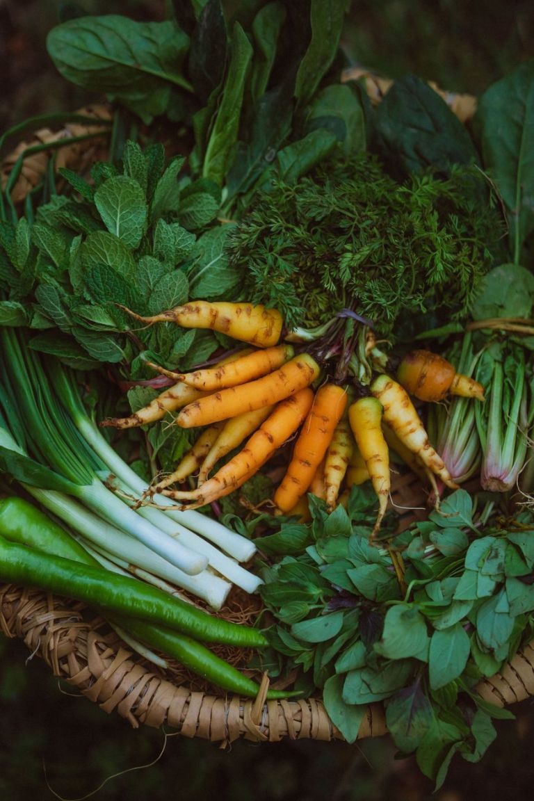 fresh vegetables lying on wickerwork chair