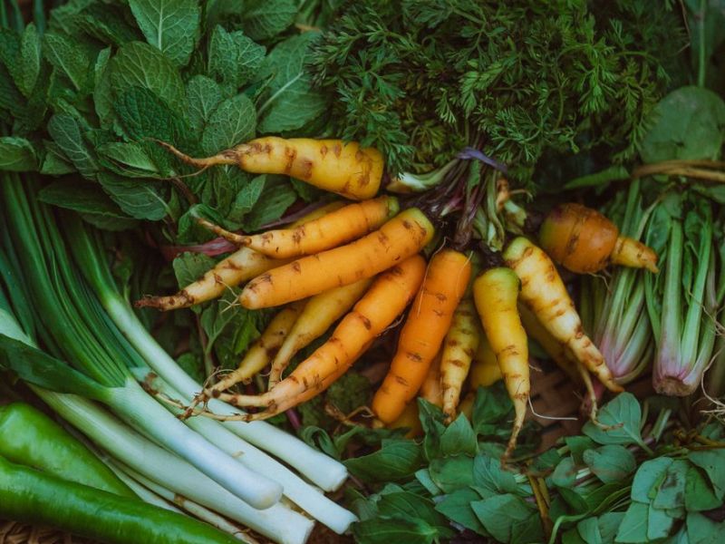 Myths About Organic Foods Debunked | Food Scientist Explains